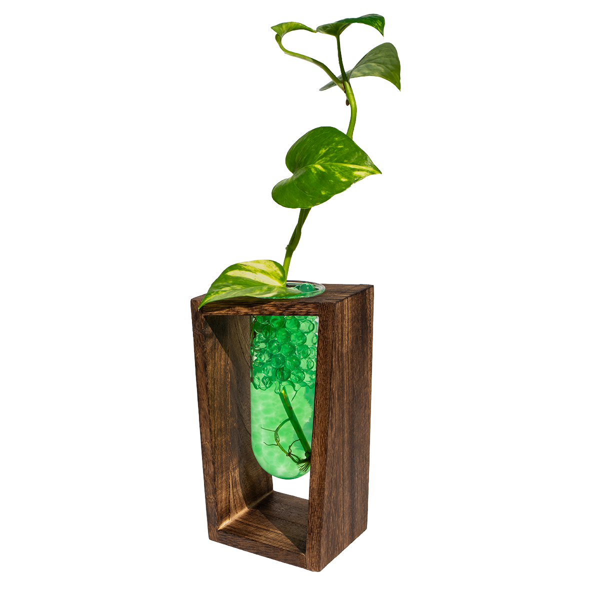 Large Test Tube Vase & Stand