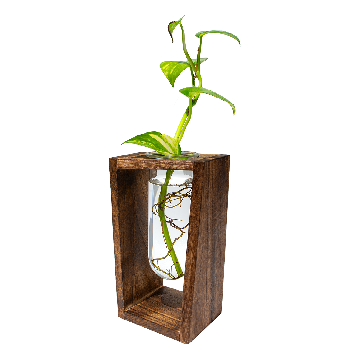 Large Test Tube Vase & Stand