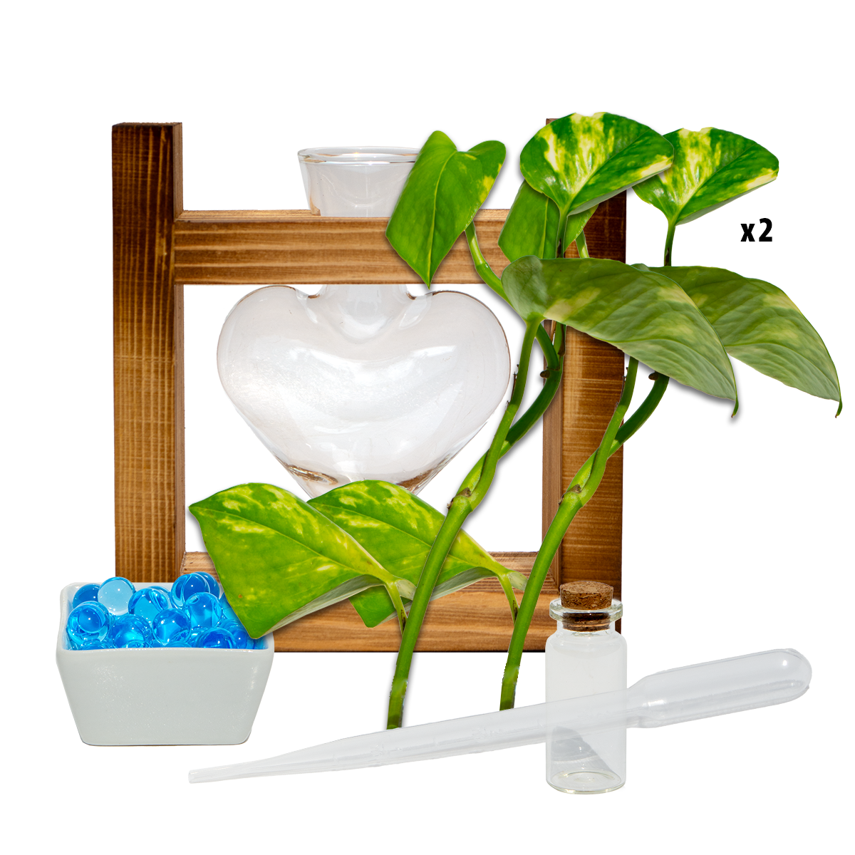 Heart Shaped Vase & Stand