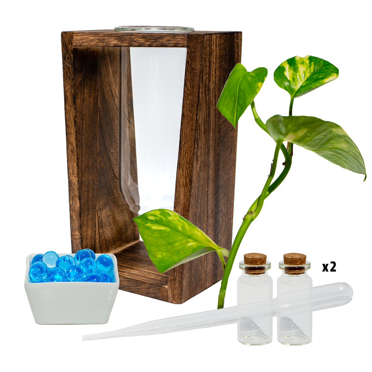 Large Test Tube Vase & Stand
