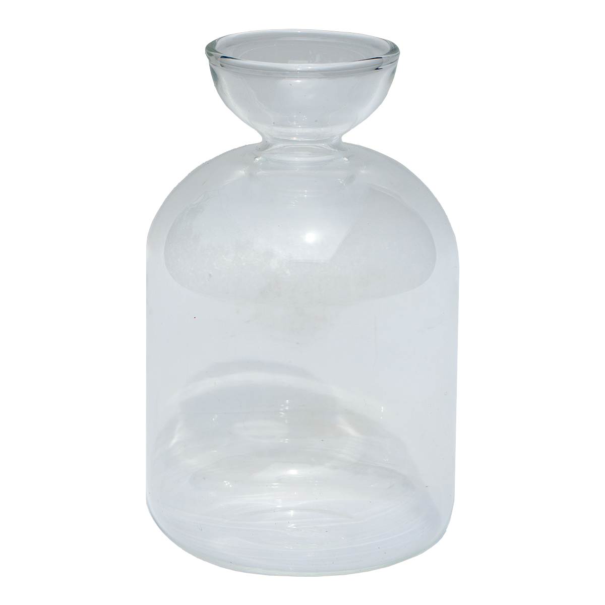 Avo Seed Growing Vase