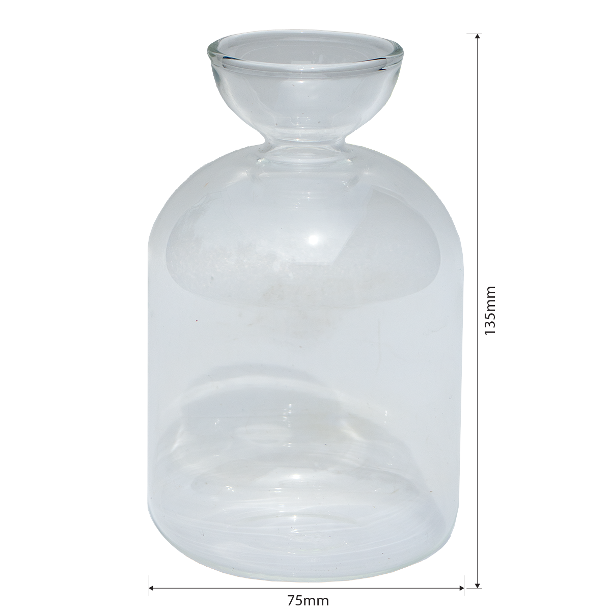 Avo Seed Growing Vase