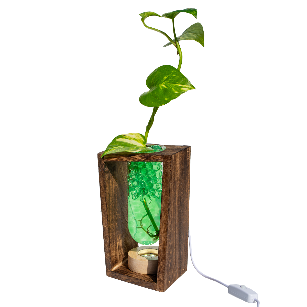 LED Lit - Large Test Tube Vase & Stand