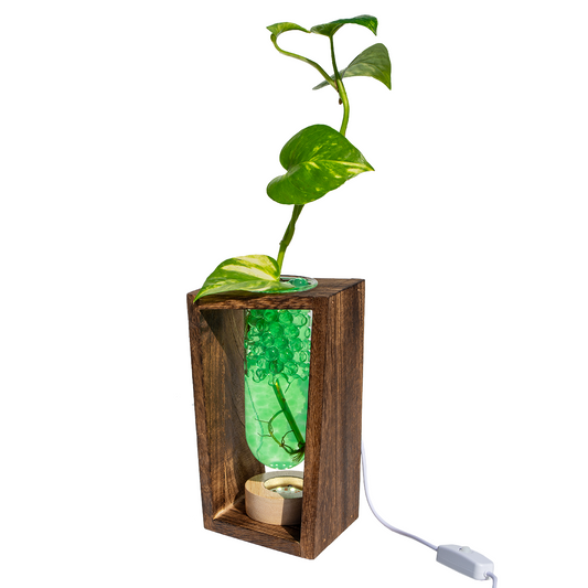 LED Lit - Large Test Tube Vase & Stand