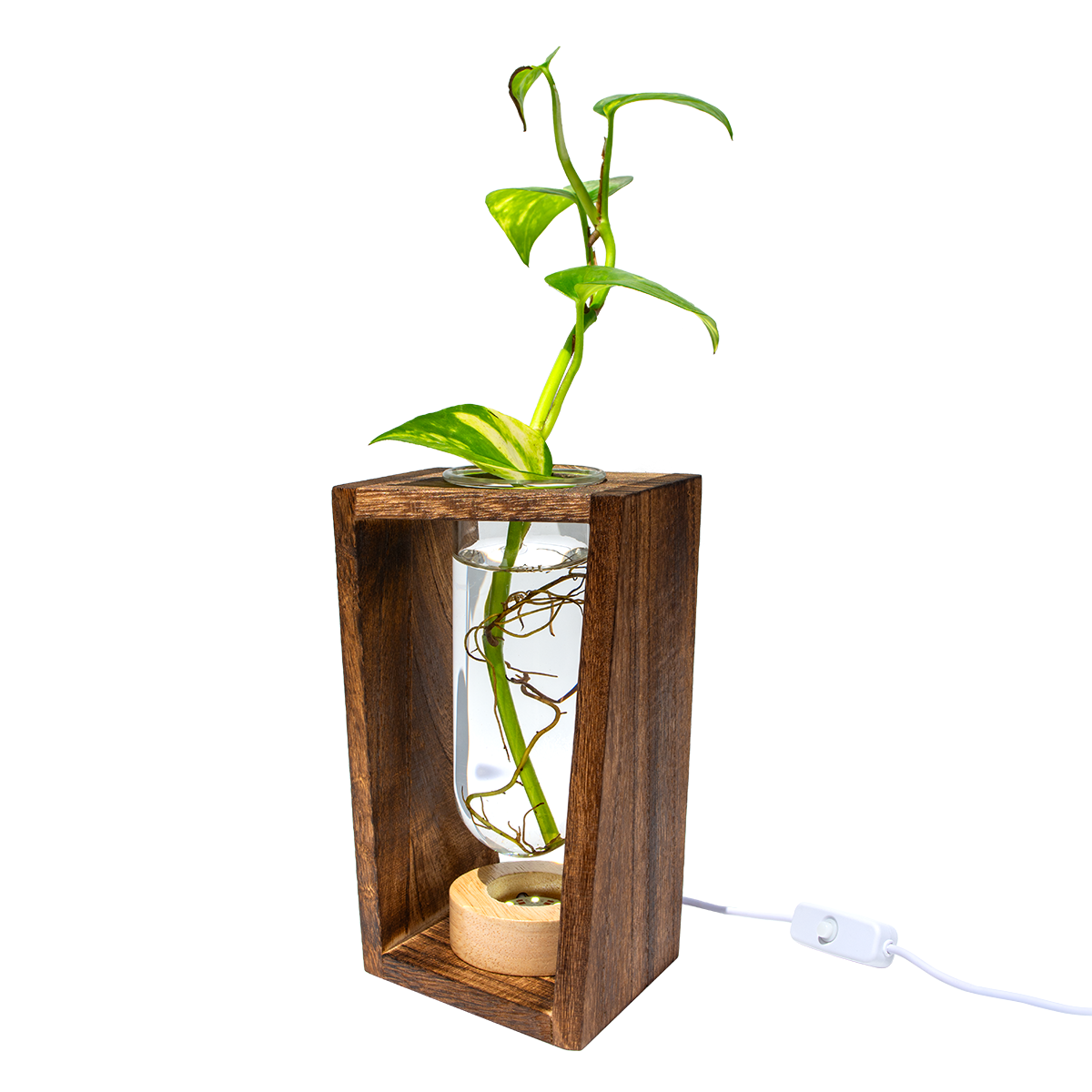 LED Lit - Large Test Tube Vase & Stand