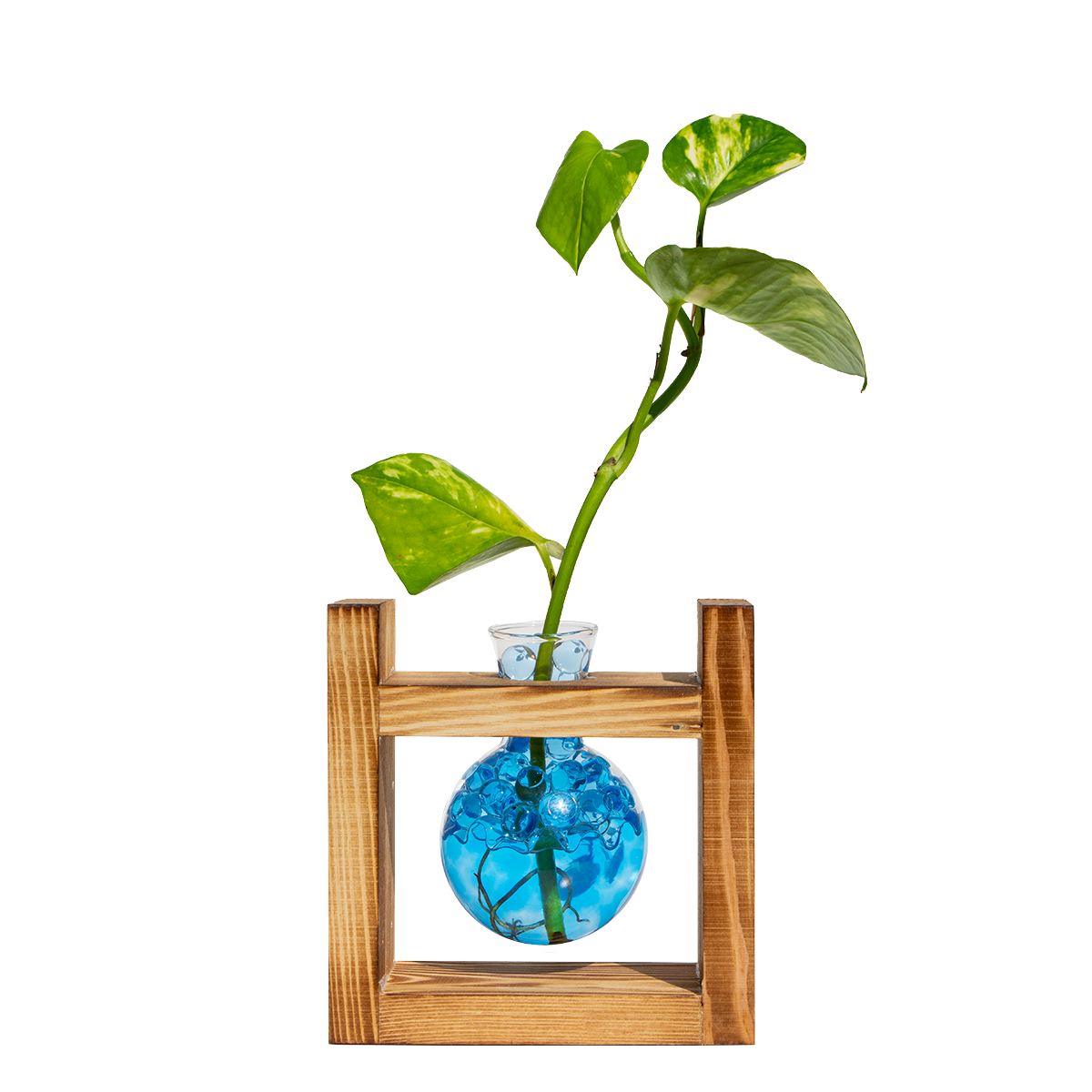 Rounded Vase & Stand