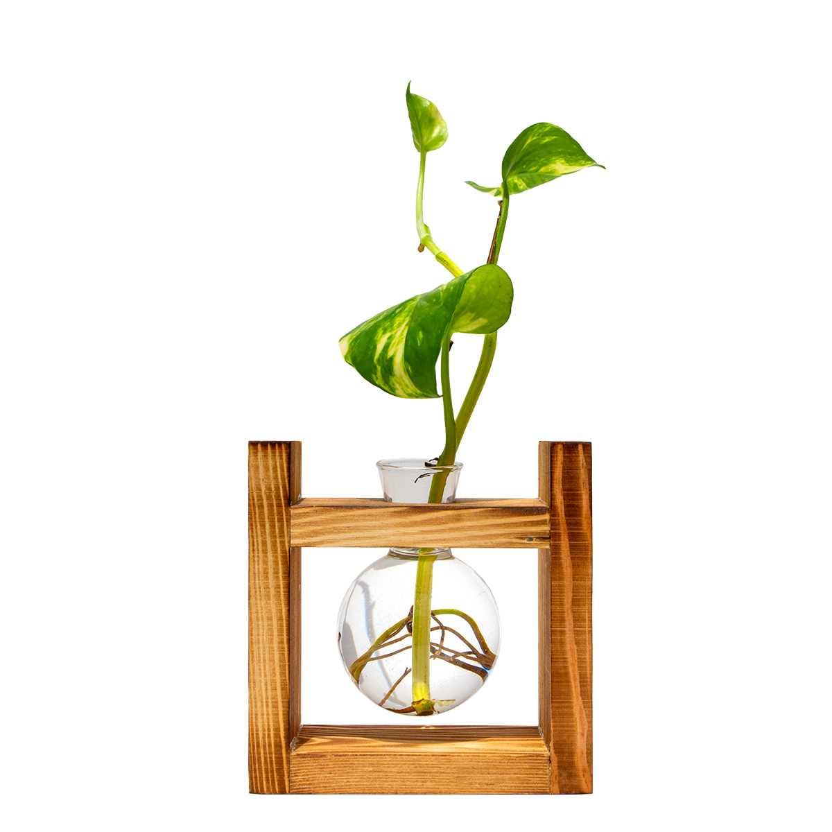 Rounded Vase & Stand