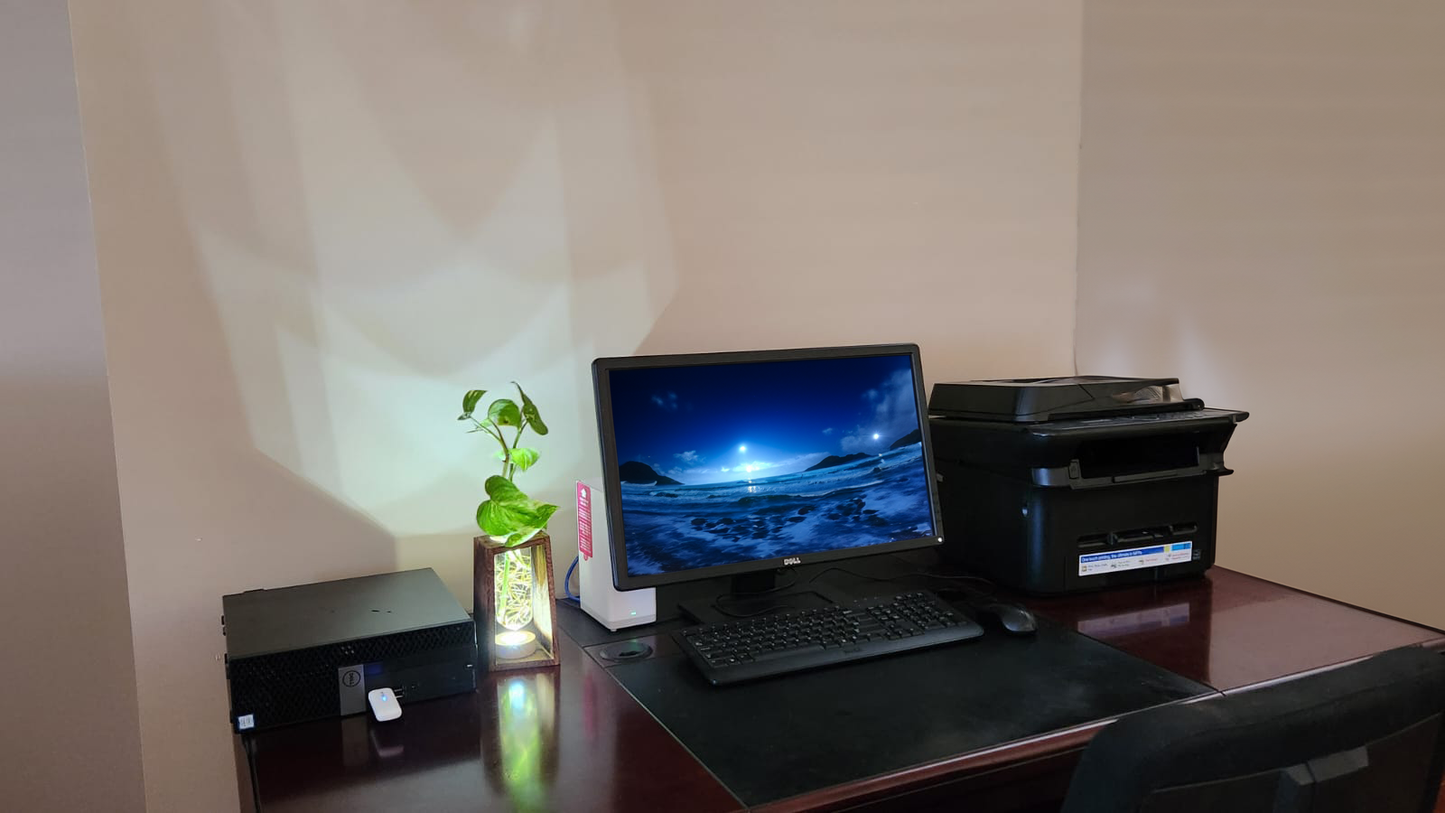 LED Lit - Large Test Tube Vase & Stand