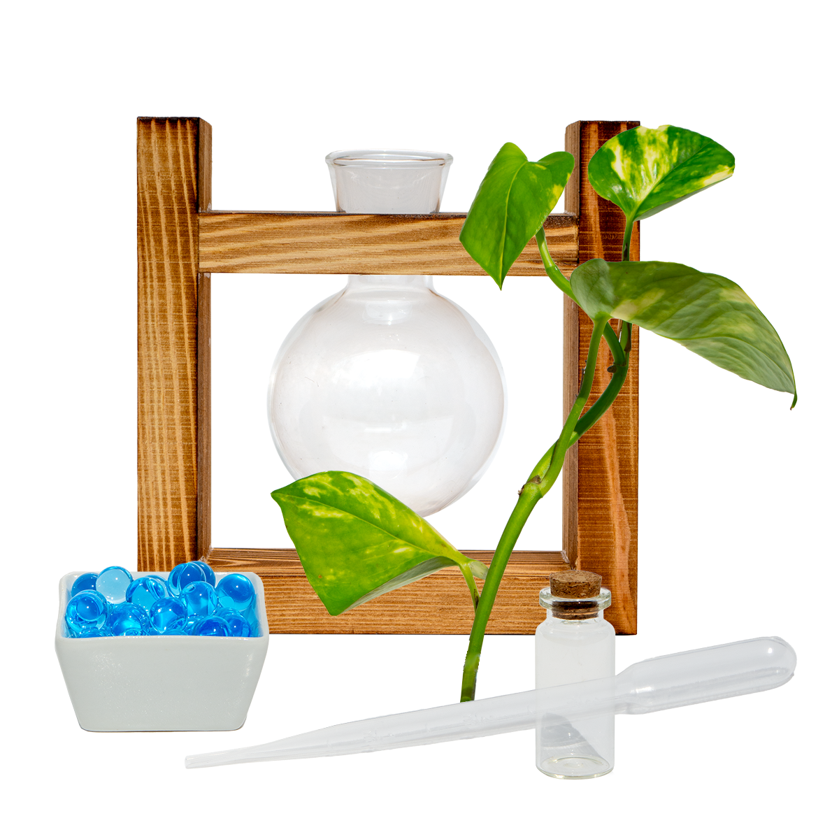 Rounded Vase & Stand