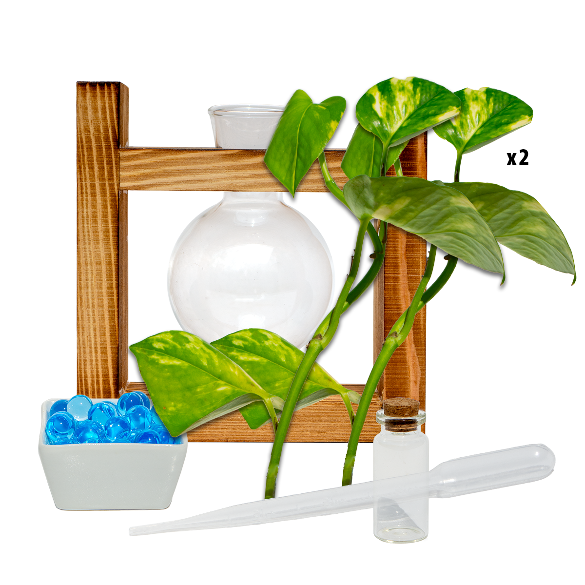Rounded Vase & Stand
