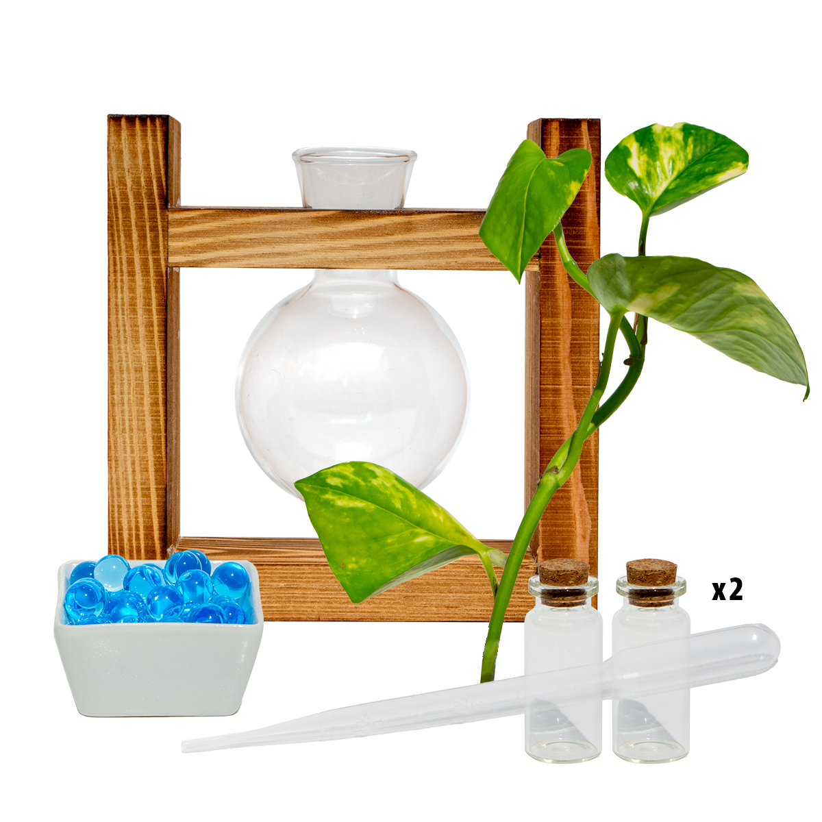 Rounded Vase & Stand