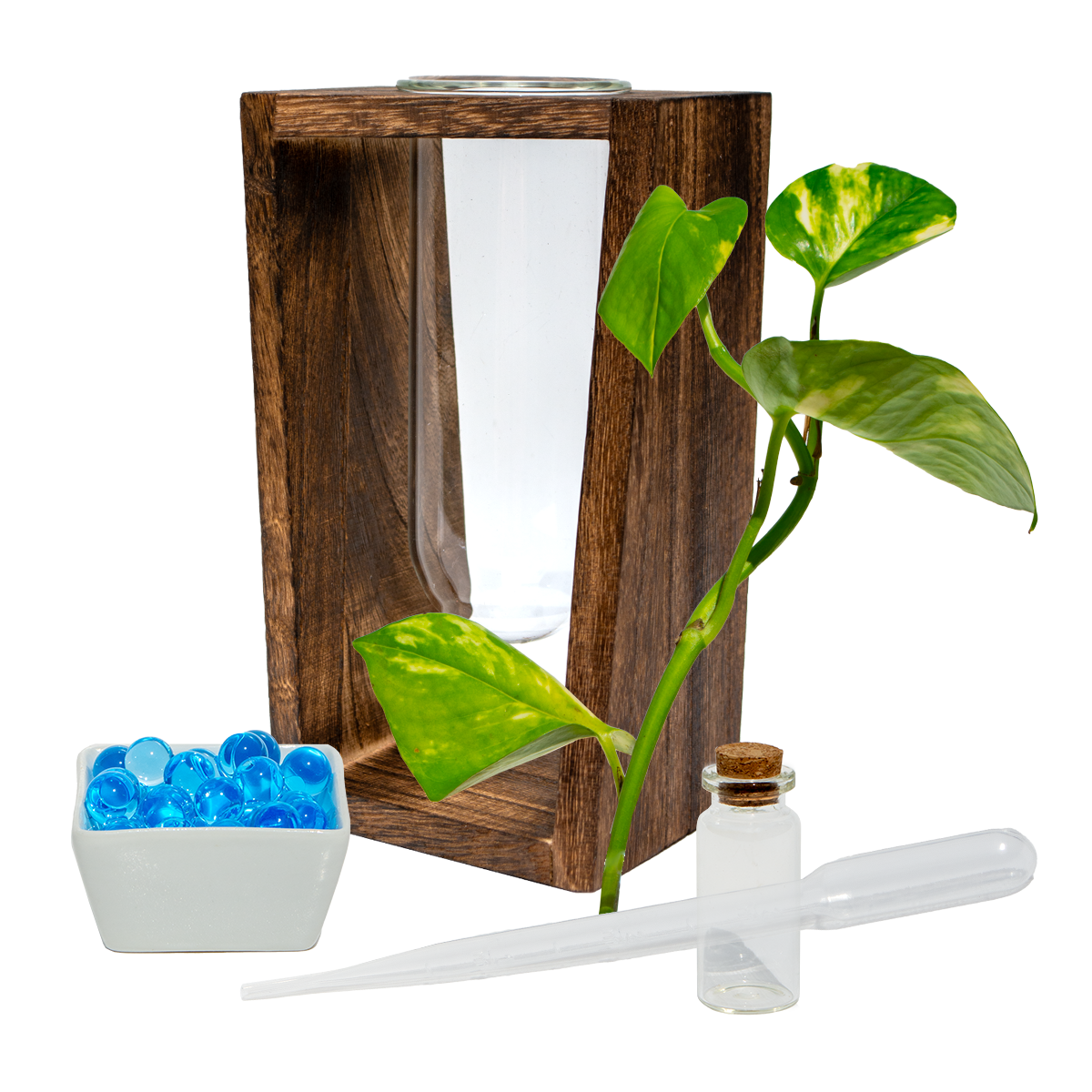 Large Test Tube Vase & Stand
