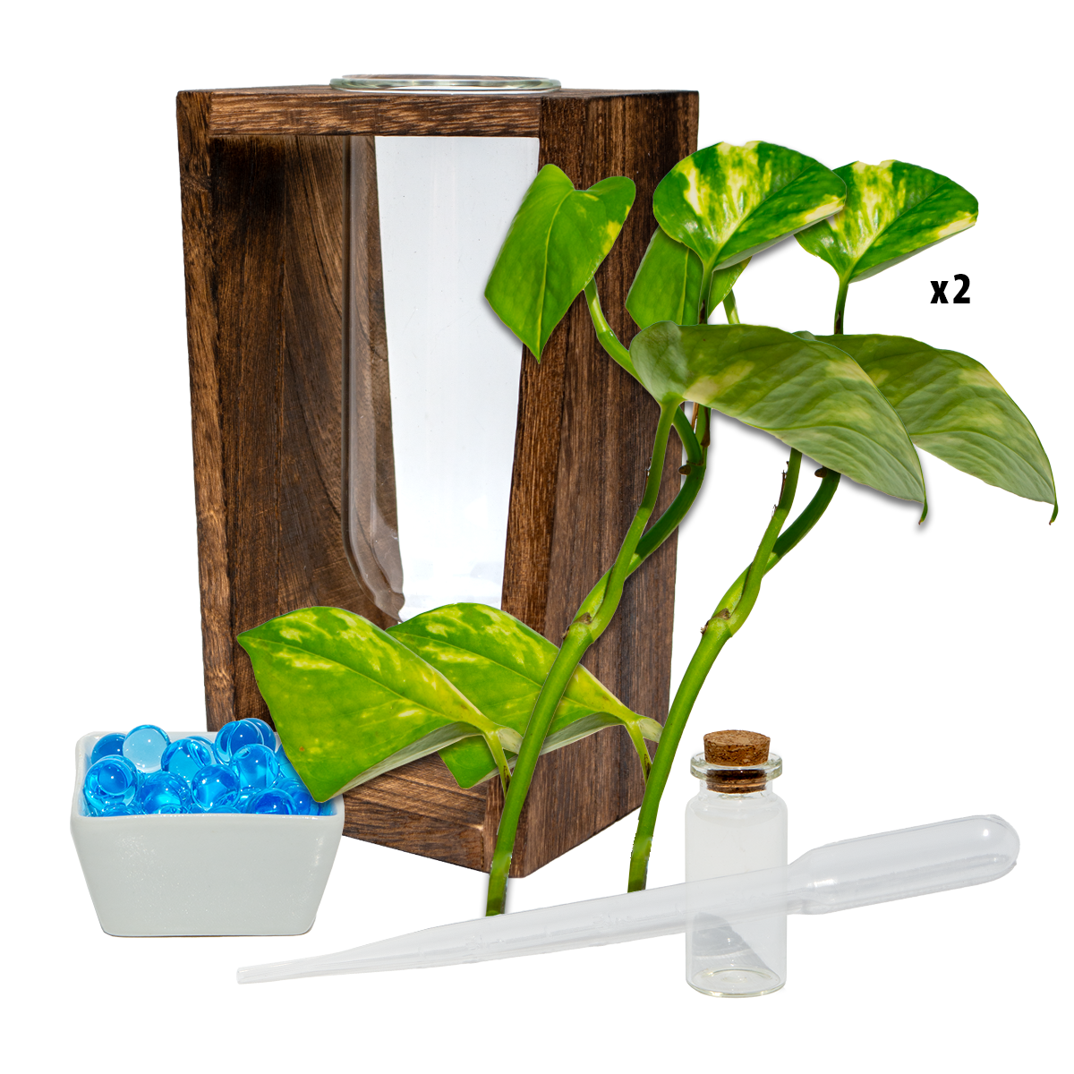 Large Test Tube Vase & Stand
