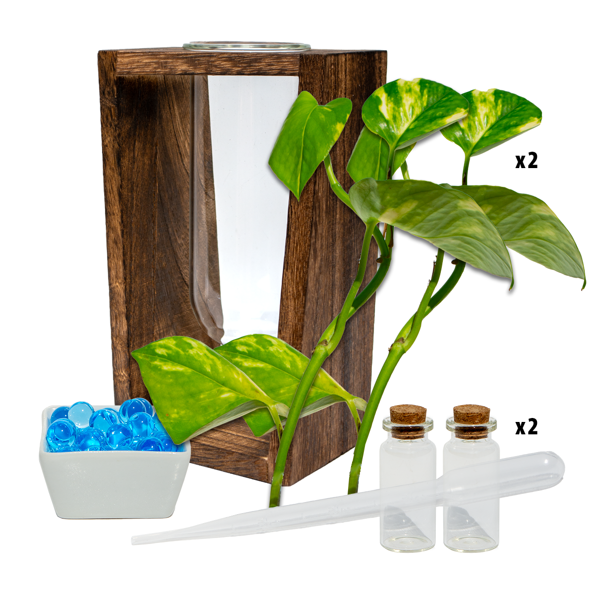 Large Test Tube Vase & Stand