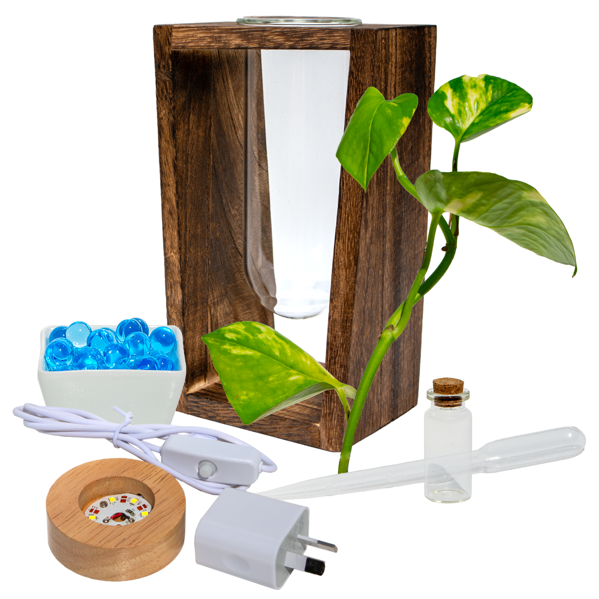 LED Lit - Large Test Tube Vase & Stand