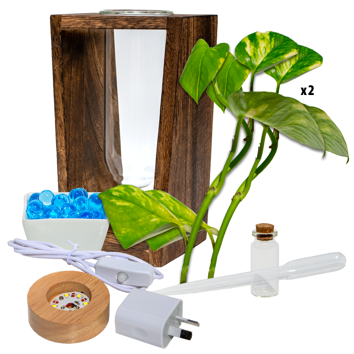 LED Lit - Large Test Tube Vase & Stand