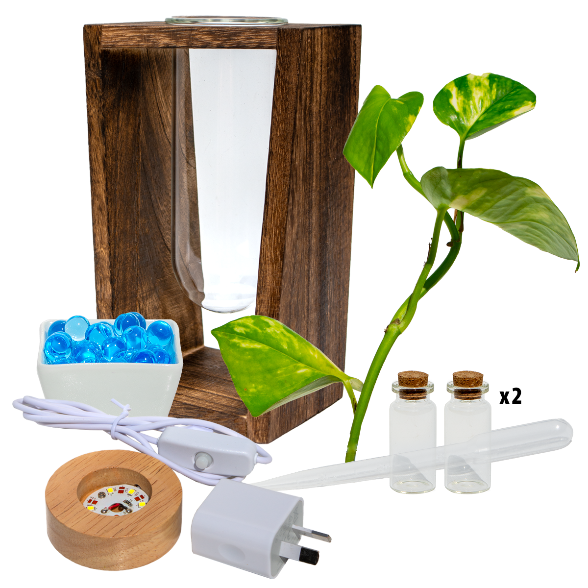 LED Lit - Large Test Tube Vase & Stand