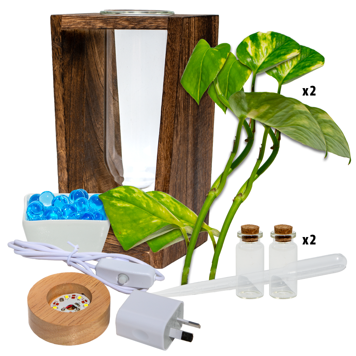 LED Lit - Large Test Tube Vase & Stand