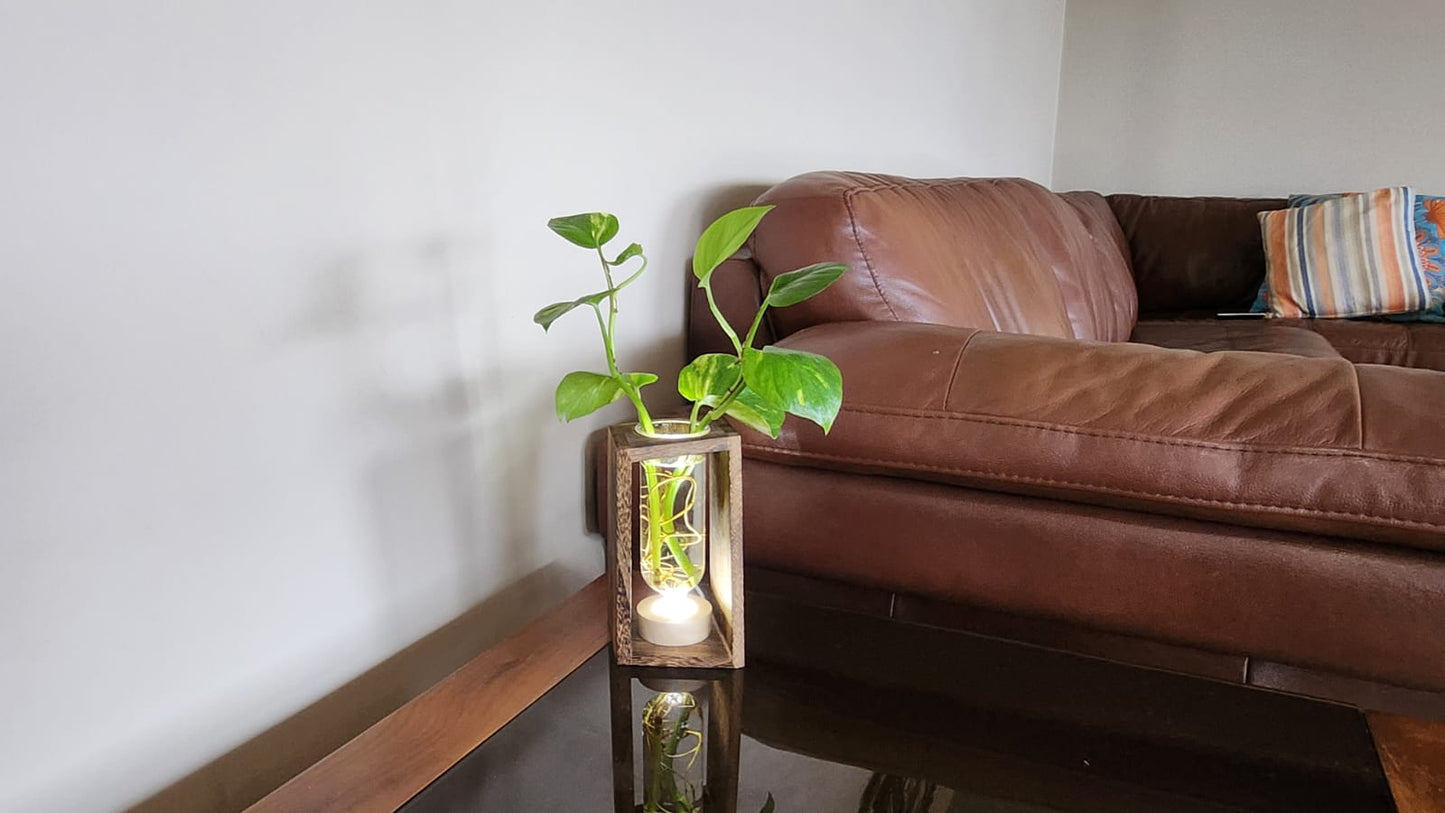 LED Lit - Large Test Tube Vase & Stand