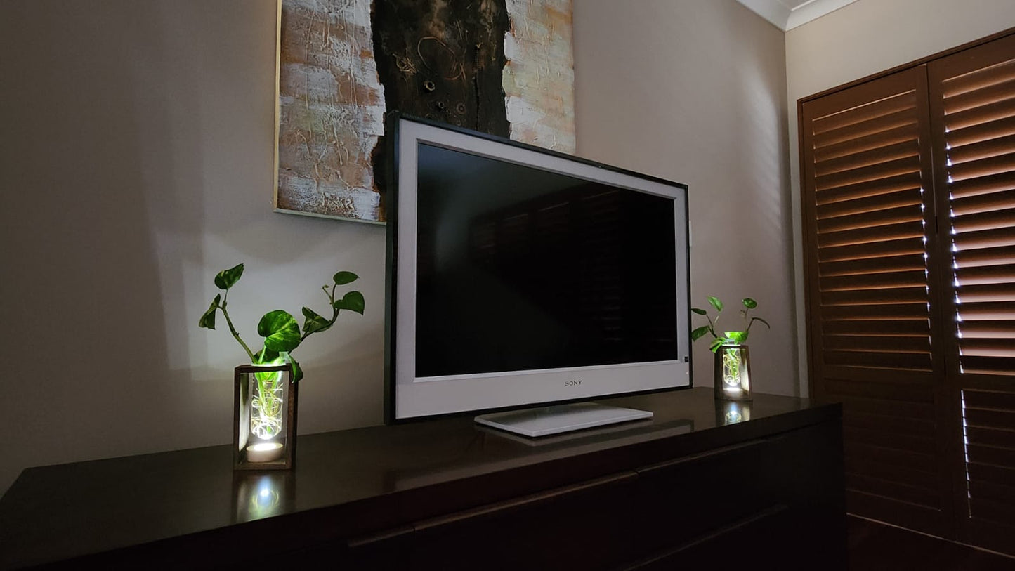LED Lit - Large Test Tube Vase & Stand